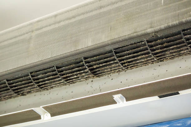 Best Ductwork Cleaning Services  in Fredericksburg, VA